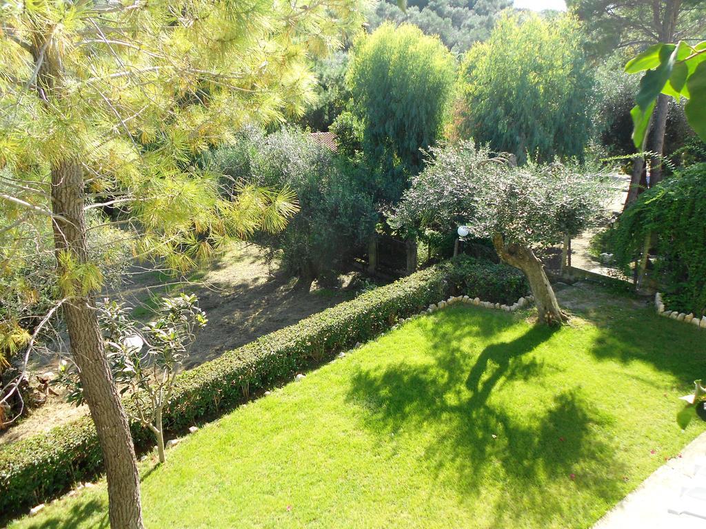 Anemona Studios Paleokastritsa Bagian luar foto