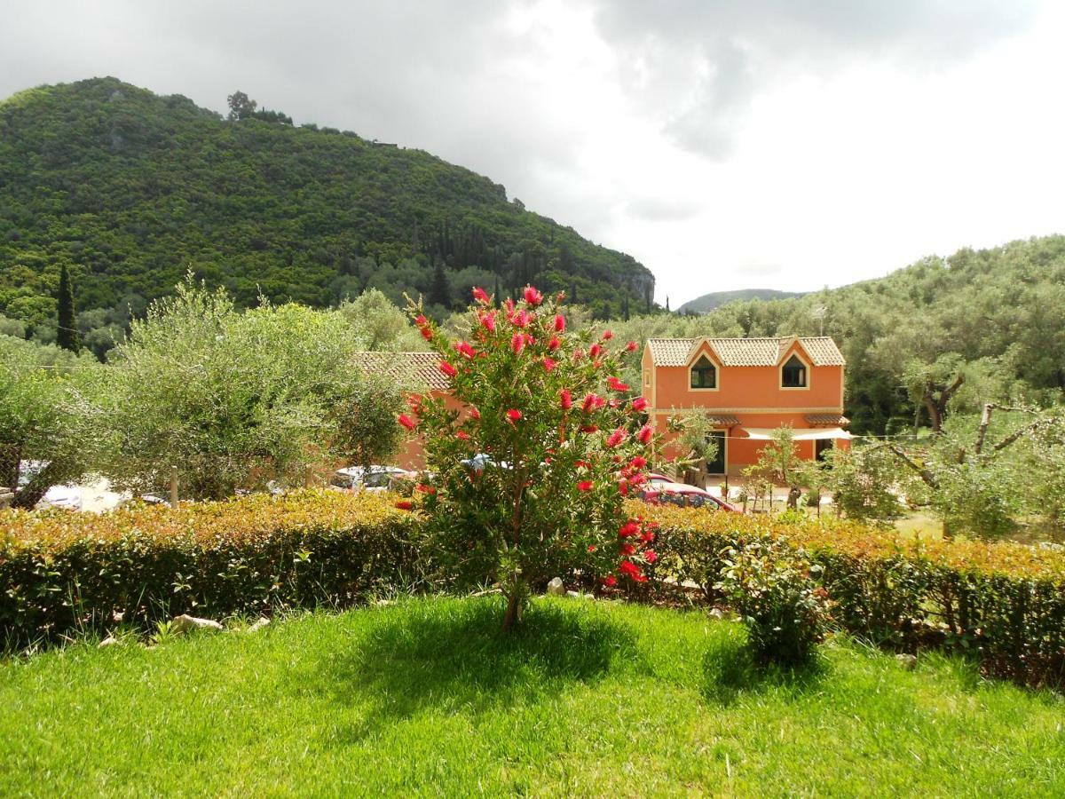 Anemona Studios Paleokastritsa Bagian luar foto