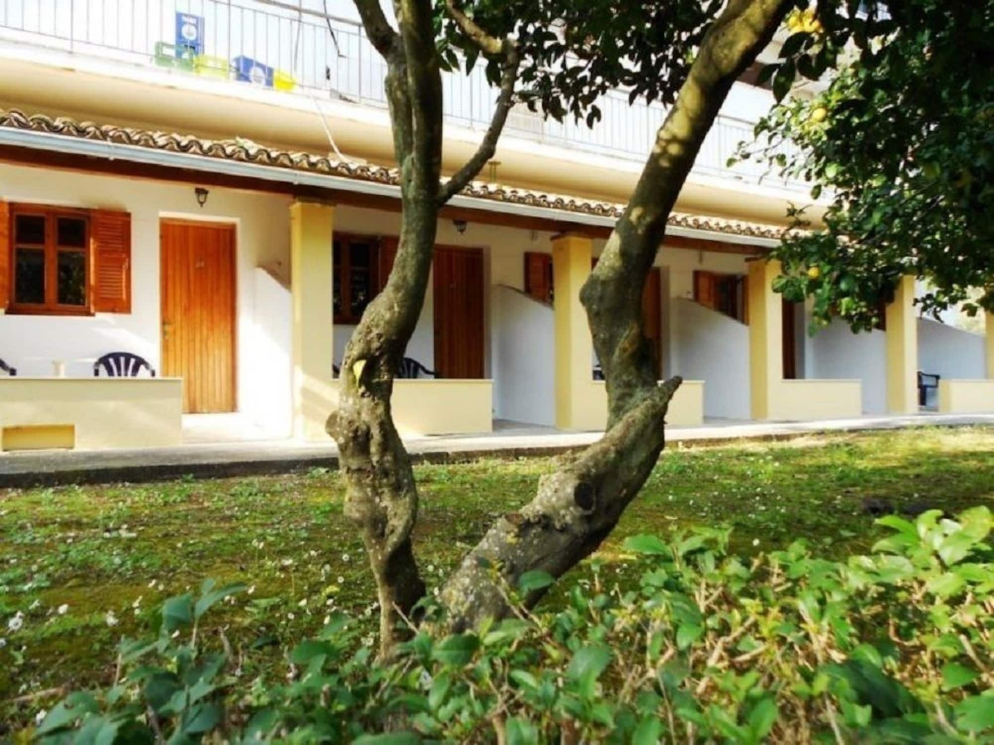 Anemona Studios Paleokastritsa Bagian luar foto